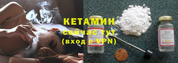 дмт Пересвет