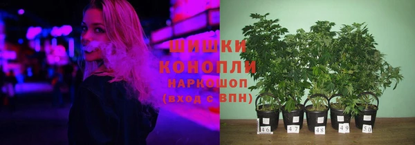 эйфоретик Аркадак